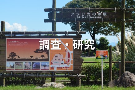 調査・研究